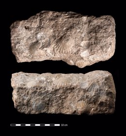 Estela funeraria prehistórica encontrada en Castillejo del Bonete, en Terrinches (Ciudad Real).