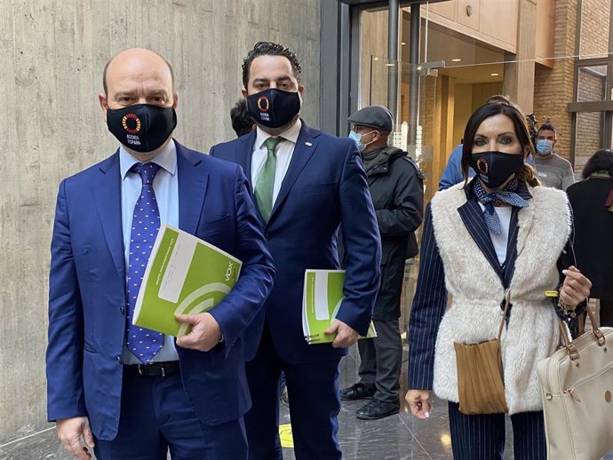 Los diputados de VOX de las Cortes de Aragón: Santiago Morón, David Arranz y Marta Fernández.