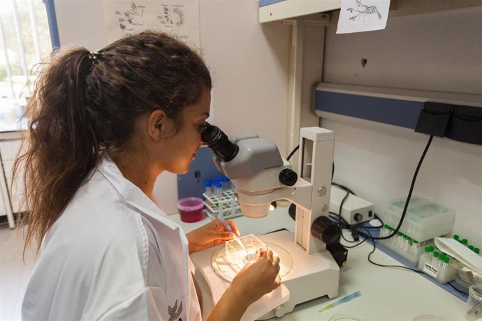 Archivo - Investigadores del Campus de Excelencia Internacional Global del Mar (CEI-Mar) (Foto de archivo).