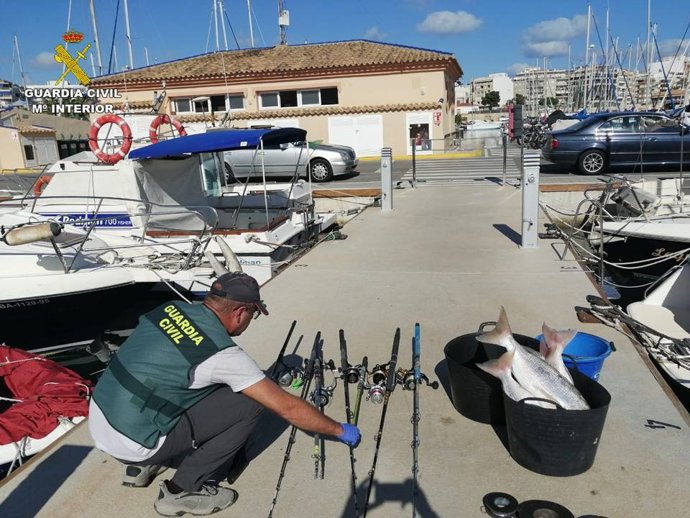 Denunciado por pescar 225 pescados, mariscos y crustáceos ilegalmente en el puerto de Torrevieja