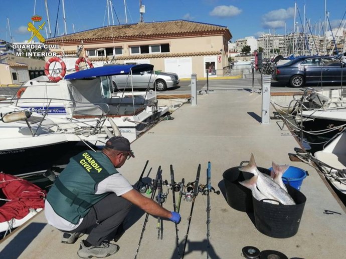 Denunciado por pescar 225 pescados, mariscos y crustáceos ilegalmente en el puerto de Torrevieja