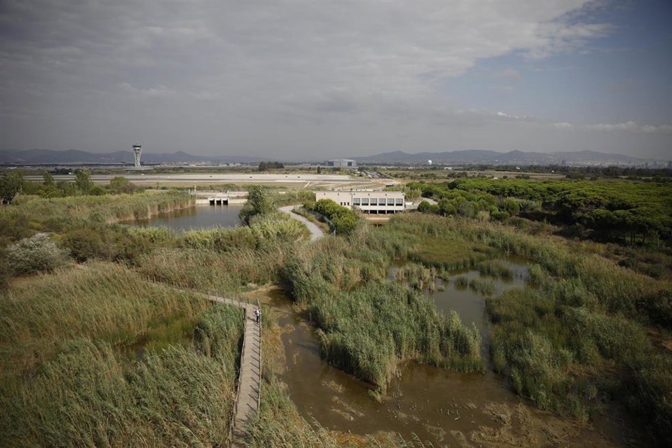 Archivo - Vista general del espacio protegido de la Ricarda, en frente del Aeropuerto de Barcelona-El Prat, en una imagen de archivo.
