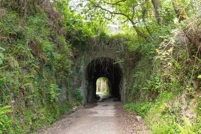 Archivo - Vía verde