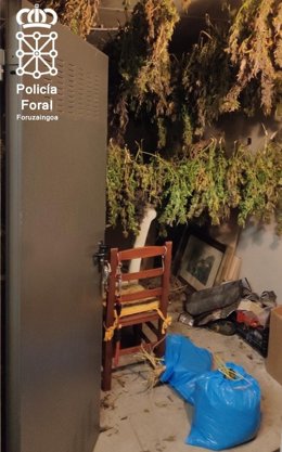 Trastero donde se ha localizado el secadero de marihuana