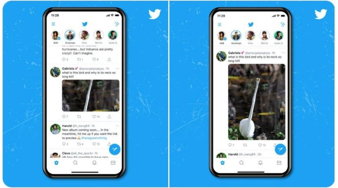 Nueva función en Twitter para visualizar a tamaño completo las imágenes