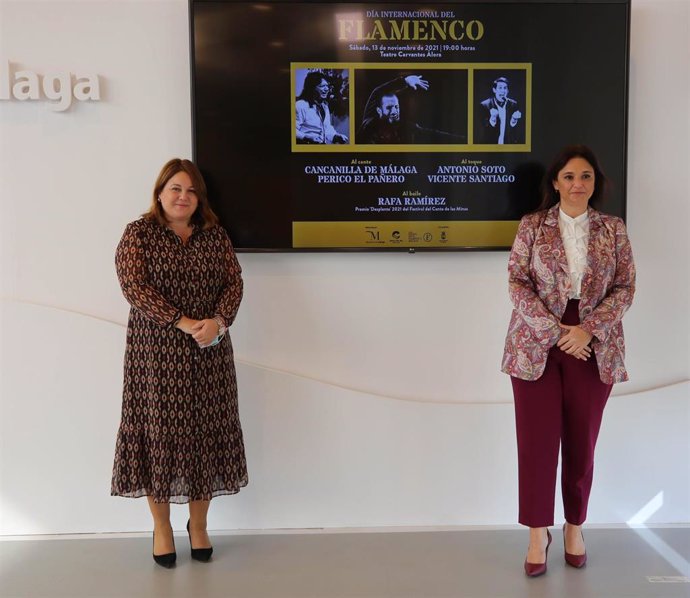 La Diputación celebra el Día Internacional del Flamenco con 14 actividades en la capital y en la provincia