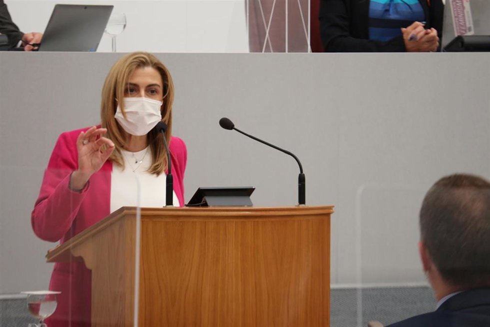 La diputada socialista Carmina Fernández
