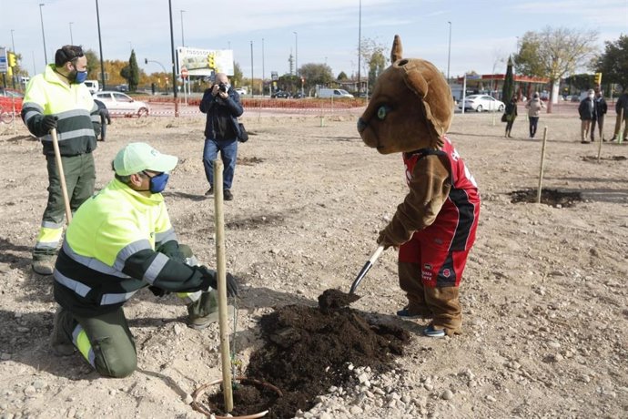 Deportistas del Casademont de Baloncesto se suman a la plantación del Bosque de los Zaragozanos