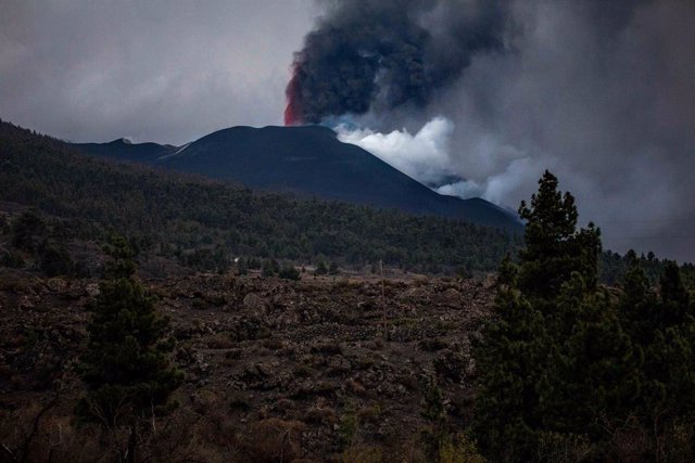 Cloud of smoke and lava that goes to the Guirres beach, on November 9, 2021, in La Palma, Santa Cruz de Tenerife, Canarias, (Spain).  The lava from the La Palma volcano continues to flow over previous flows in the central area, feeding