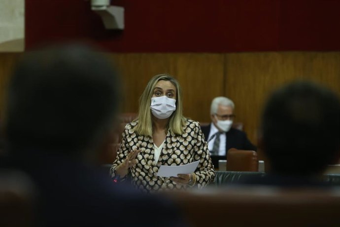 La consejera de Fomento, Marifrán Carazo, en el Pleno parlamentario.