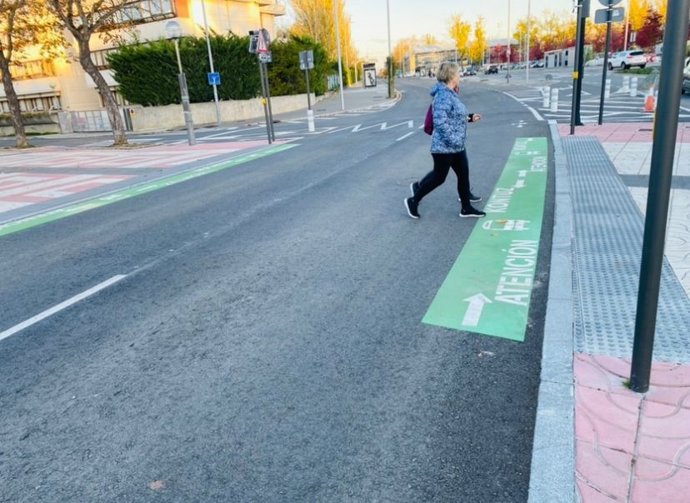 PP Vitoria pide a Urtaran que reponga los 81 pasos de cebra que ha eliminado con el BEI