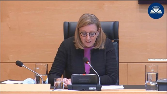 La consejera de Familia e Igualdad de Oportunidades, Isabel Blanco, en las Cortes.