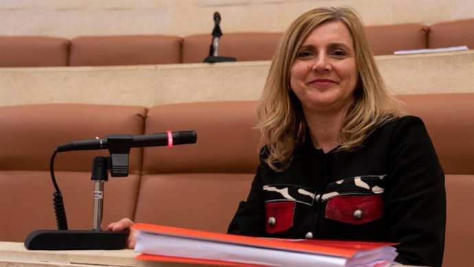 Archivo - La secretaria de Organización del PSOE de Cantabria y portavoz del grupo socialista en el Parlamento regional, Noelia Cobo.