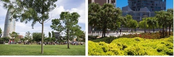 Barcelona ha reducido 824.310 toneladas de CO2 durante el año 2020 a causa de la Covid-19.