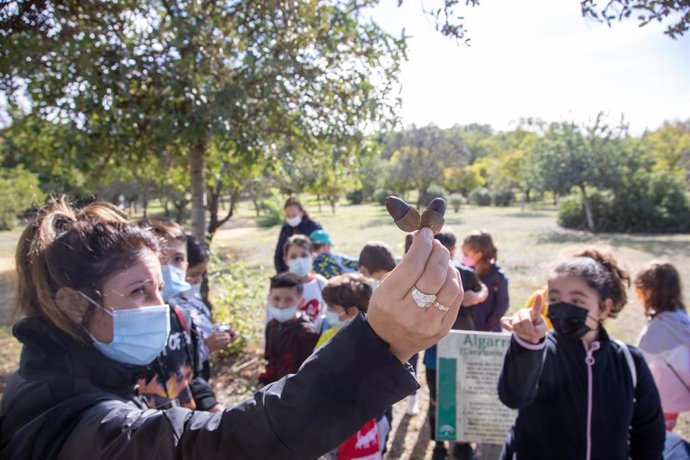 Visitas interpretativas al Parque Periurbano Porzuna de Mairena del Aljarafe.