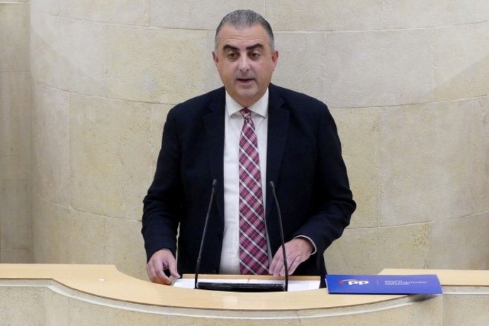 El diputado del PP, Roberto Media