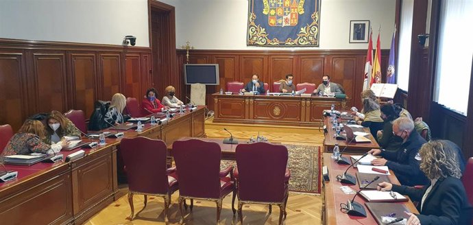 Reunión del Consejo Provincial de la Mujer en Palencia.