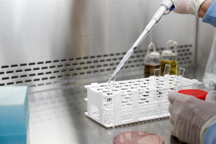 Archivo - Imagen de archivo de un laboratorio donde se tratan muestras de coronavirus.