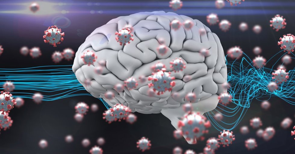 Archivo - Cerebro y coronavirus