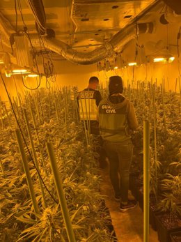 Vídeo de la noticia