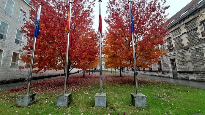 Complejo judicial de Las Salesas. Sede Audiencia Provincial de Cantabria, del TSJC y de juzgados de Santander.