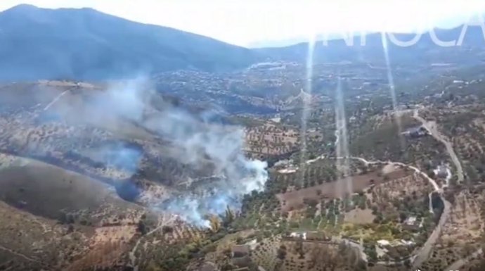 Incendio forestal en Alcaucín
