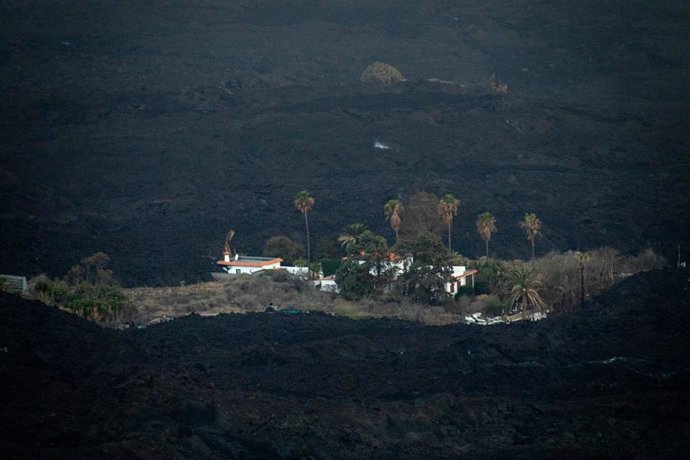 Vista de las pocas viviendas que han sobrevivido a la erupción del volcán de Cumbre Vieja, desde el Valle de Aridane, a 12 de noviembre de 2021, en La Palma, Santa Cruz de Tenerife, Canarias, (España). Según el satélite Copernicus, que ha actualizado el