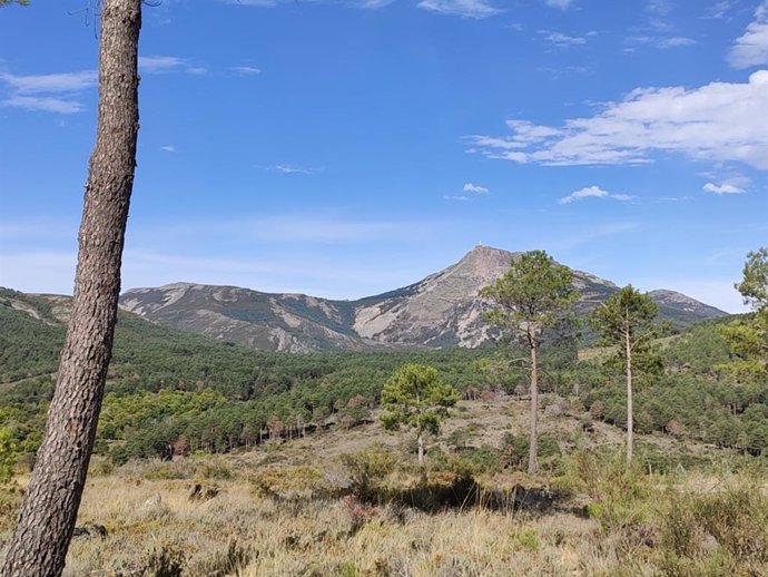 Vista de la Peña de Francia desde la Ruta del Bosque en La Alberca (Salamanca).