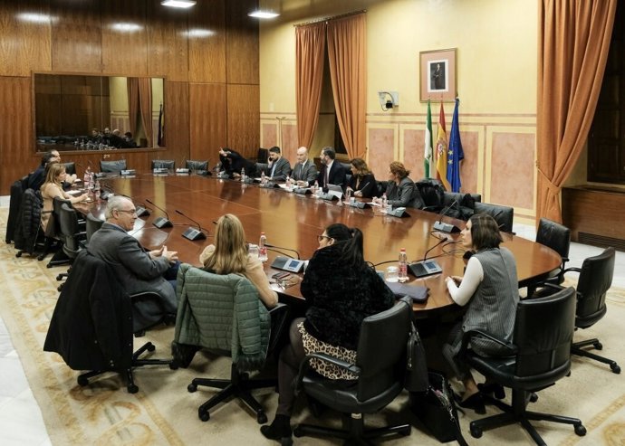 Grupo de Trabajo relativo a estrategia andaluza frente al reto demográfico creado en el Parlamento andaluz (Foto de archivo).