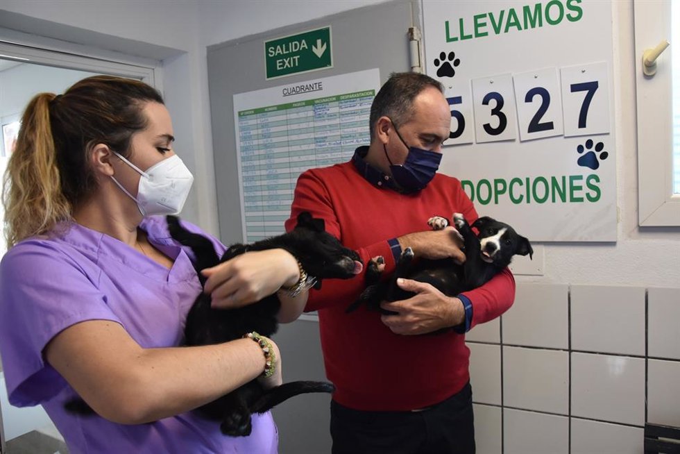El Ayuntamiento de Fuengirola fomenta la adopción de mascotas en el Parque Zoosanitario municipal