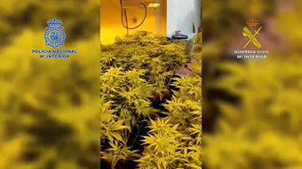 Instantánea del desarrollo de la operación