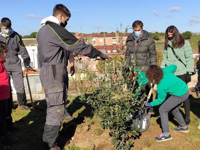 Una menor planta uno de los nuevos árboles en la calle Cordel de Merinas de Chamberí en Salamanca