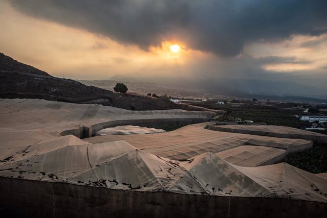 Invernaderos de plataneras, desde la montaña de Triana, a 3 de noviembre de 2021, en Los Llanos de Aridane, en La Palma, Santa Cruz de Tenerife, Canarias, (España). El Consejo de Ministros de ayer martes, 2 de noviembre, ha aprobado la concesión de una su
