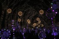 El Govern llama a la vacunación "para poder mantener el control sanitario y disfrutar de una Navidad diferente a 2020"