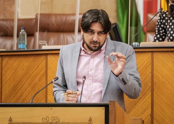 El parlamentario de Unidas Podemos por Sevilla, Ismael Sánchez.