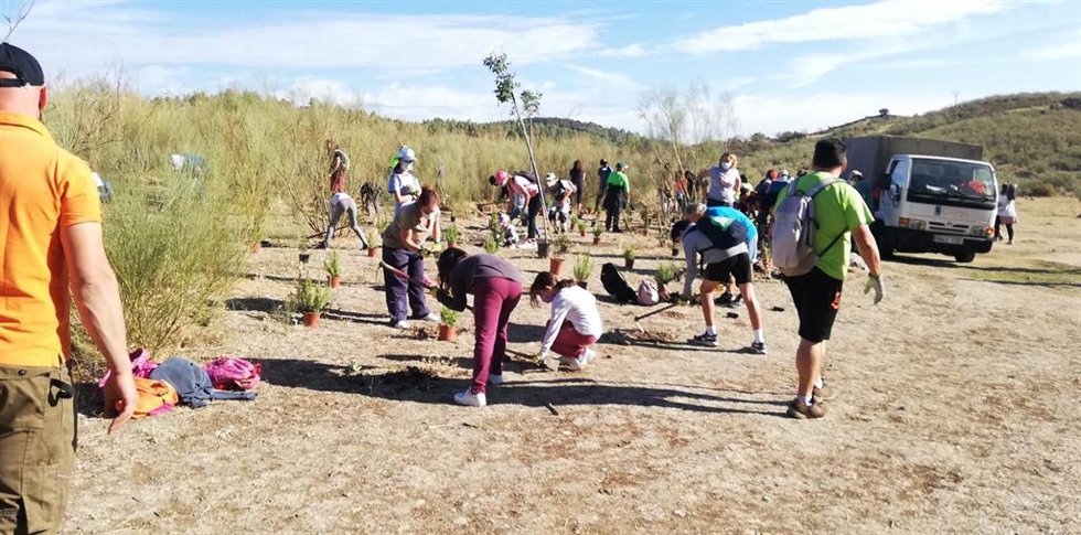 La Diputación finaliza sus arboladas de otoño con más de 1.600 ejemplares plantados