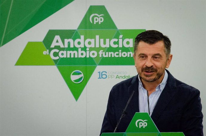 El vicesecretario general del PP-A, Toni Martín, en rueda de prensa.