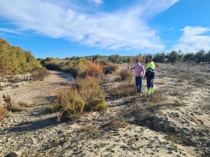 Moreno (i), en el arroyo Salado a su paso por Porcuna.