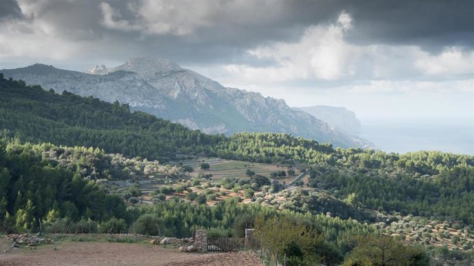 Archivo - Paisaje de la Serra de Tramuntana.