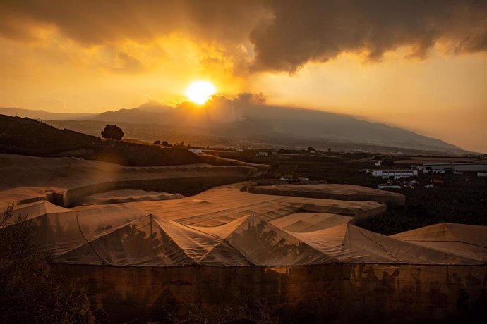Invernaderos delante de la nube de ceniza y lava del volcán de Cumbre Vieja desde la montaña de Triana, a 16 de noviembre de 2021, en Los Llanos de Aridane, La Palma, Santa Cruz de Tenerife, Canarias, (España). Según los últimos datos proporcionados por