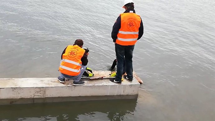 Las obras del muelle de la Aduana en Portocolom.