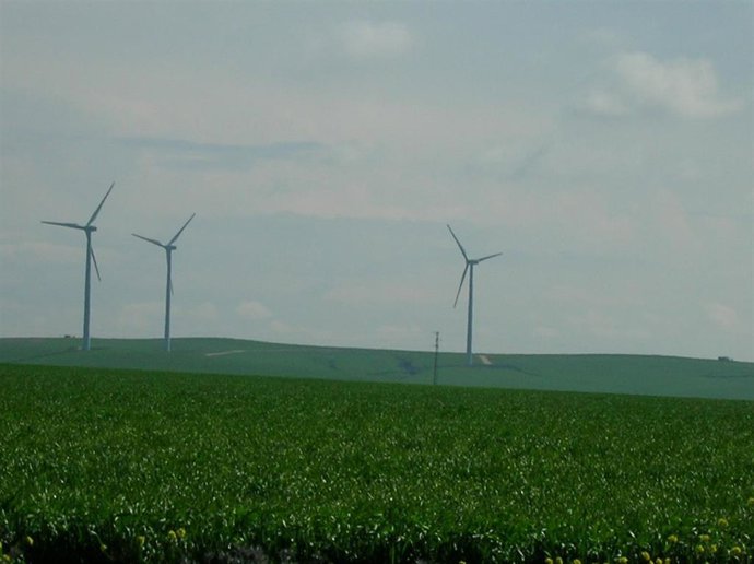 Archivo - Energía eólica, renovables.