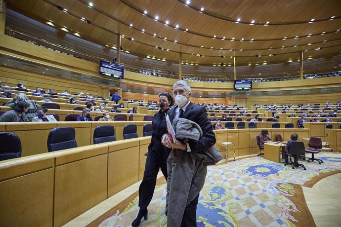 El ministro de Interior, Fernando Grande-Marlaska, interviene en una sesión de control al Gobierno en el Senado