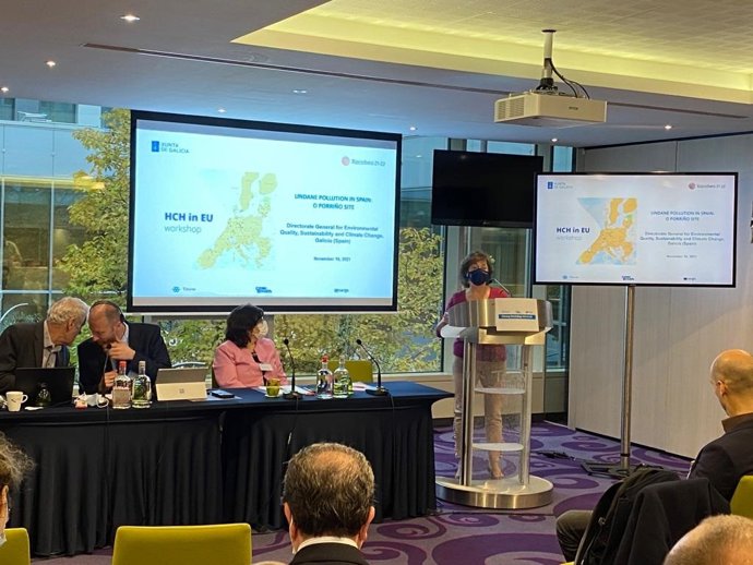 La directora xeral de Calidade Ambiental, Cambio Climático e Sostibilidade, Sagrario Pérez, durante el seminario