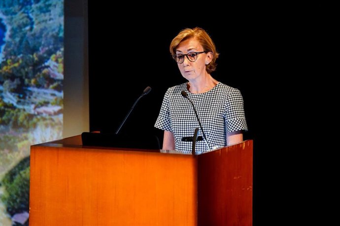 Archivo - La exdirectora general de Bellas Artes del ministerio de Cultura, María Dolores Jiménez-Blanco