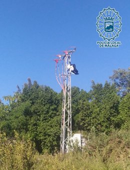 Una cigüeña en una torreta de alta tensión de la capital malagueña