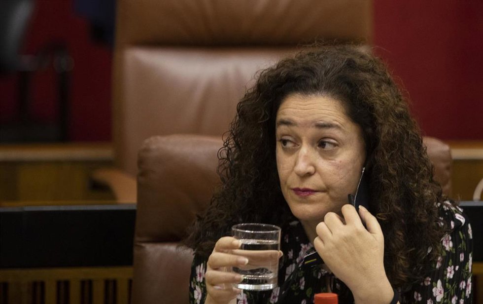 La portavoz del grupo parlamentario Unidas Podemos, Inmaculada Nieto, en una foto de archivo.