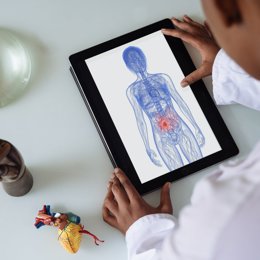 Desarrollan una herramienta bioinformática que permitiría optimizar la microbiota intestinal en la salud humana.