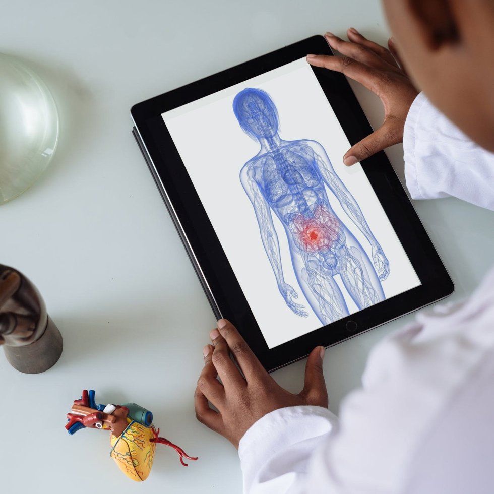 Desarrollan una herramienta bioinformática que permitiría optimizar la microbiota intestinal en la salud humana.