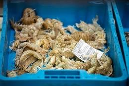 Archivo - La Generalitat aprueba un programa de control de las actividades pesqueras y acuícolas